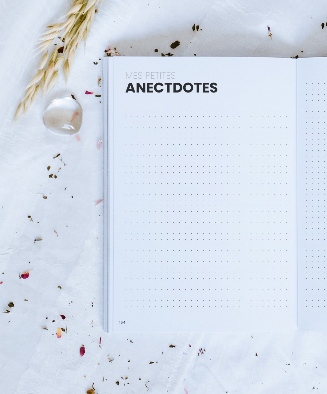 Mes petites anecdotes design minimaliste
