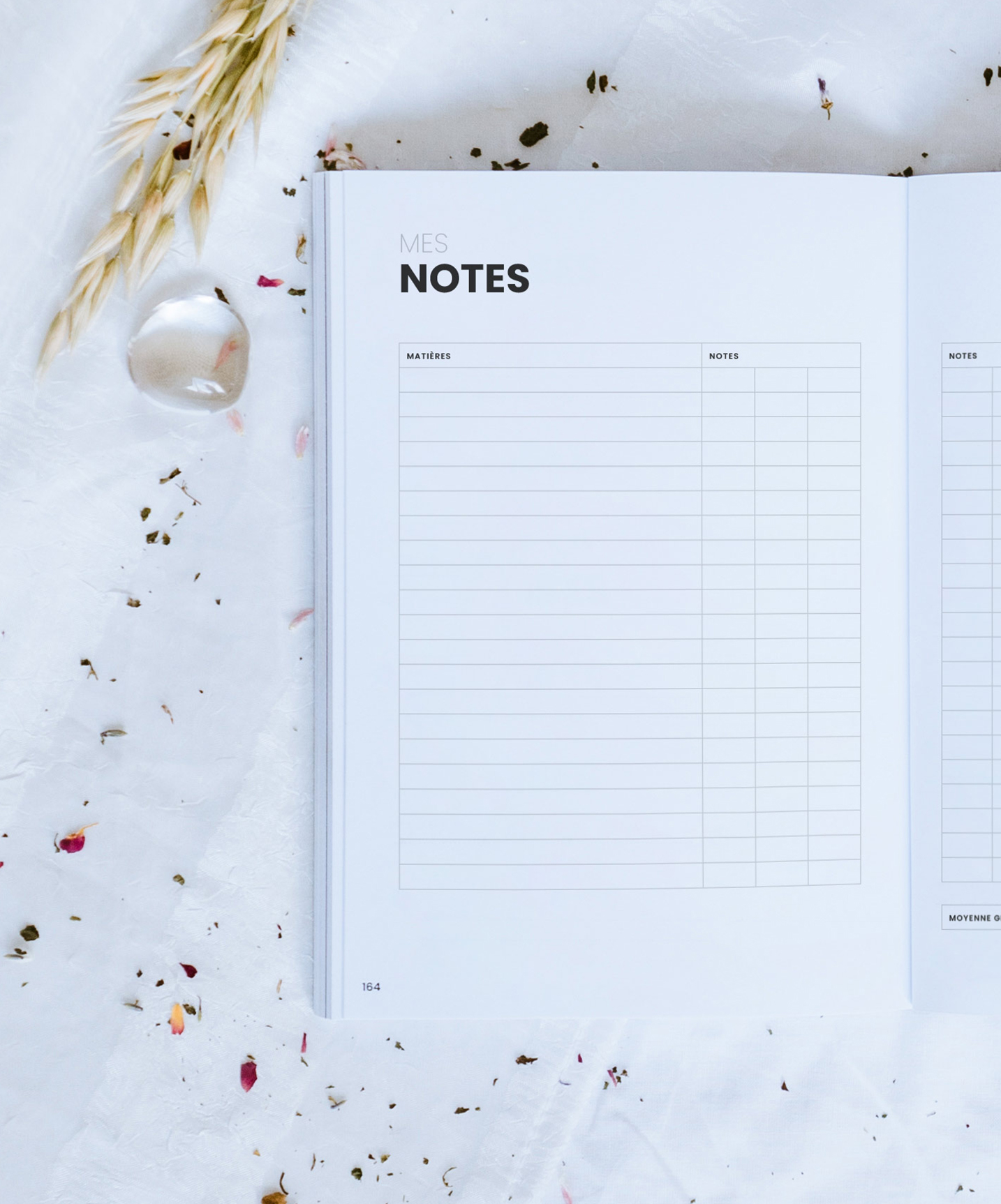 Notes et moyennes scolaire design minimaliste