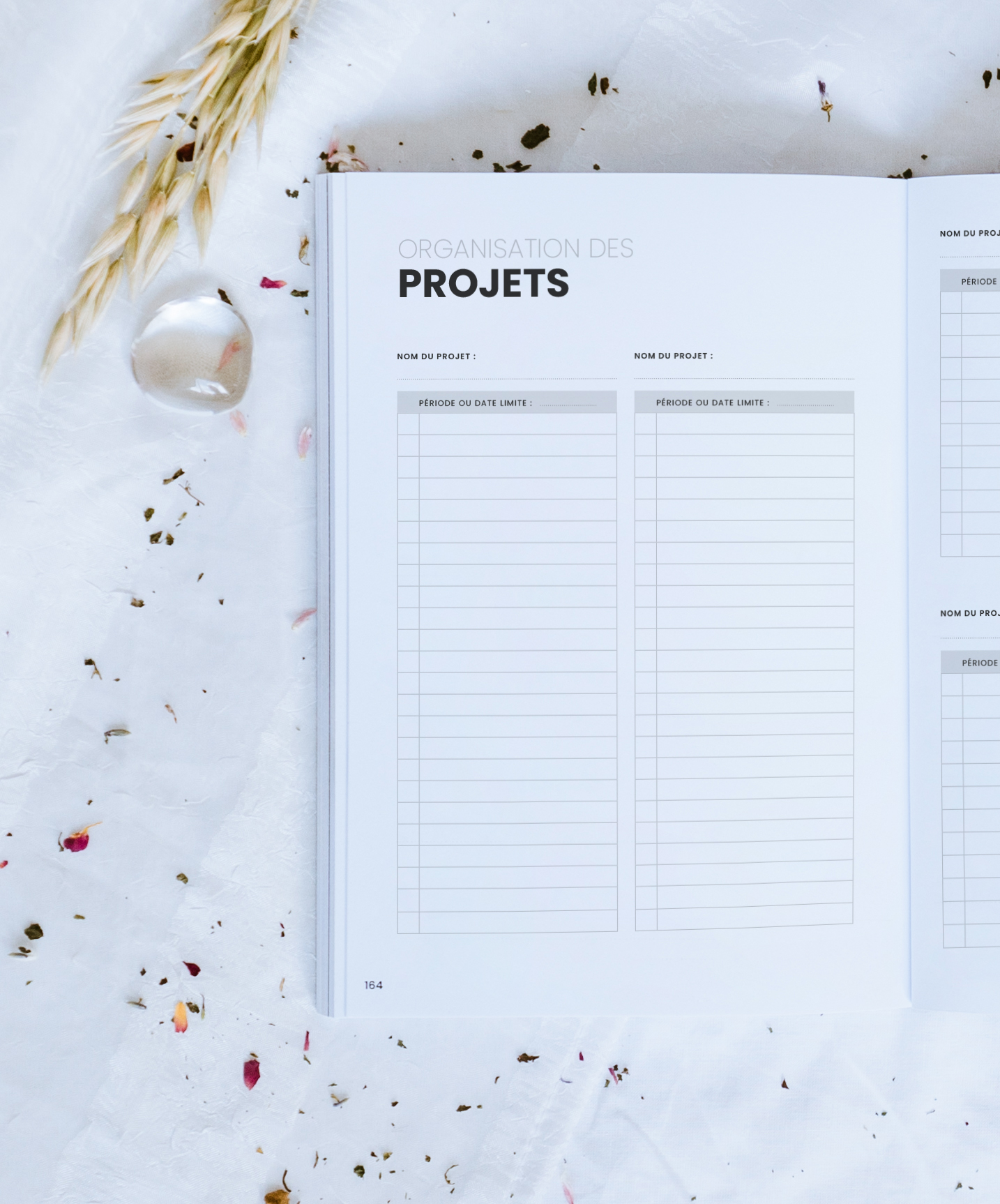 Gestion des projets sur une année